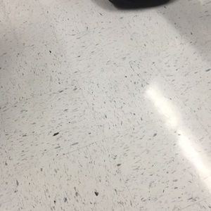 Meet your Posher, Lorraine